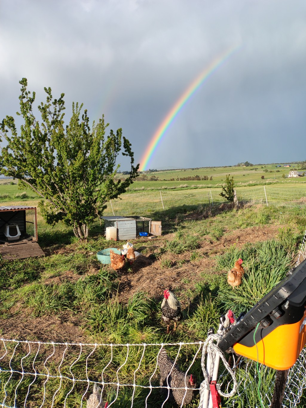 Drake Street Farm: Summer/Autumn&nbsp;Residency